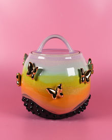  Rainbow Butterfly Jar1
