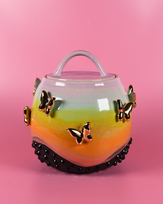 Rainbow Butterfly Jar1